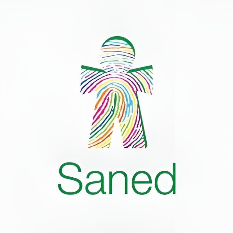 Saned Partners