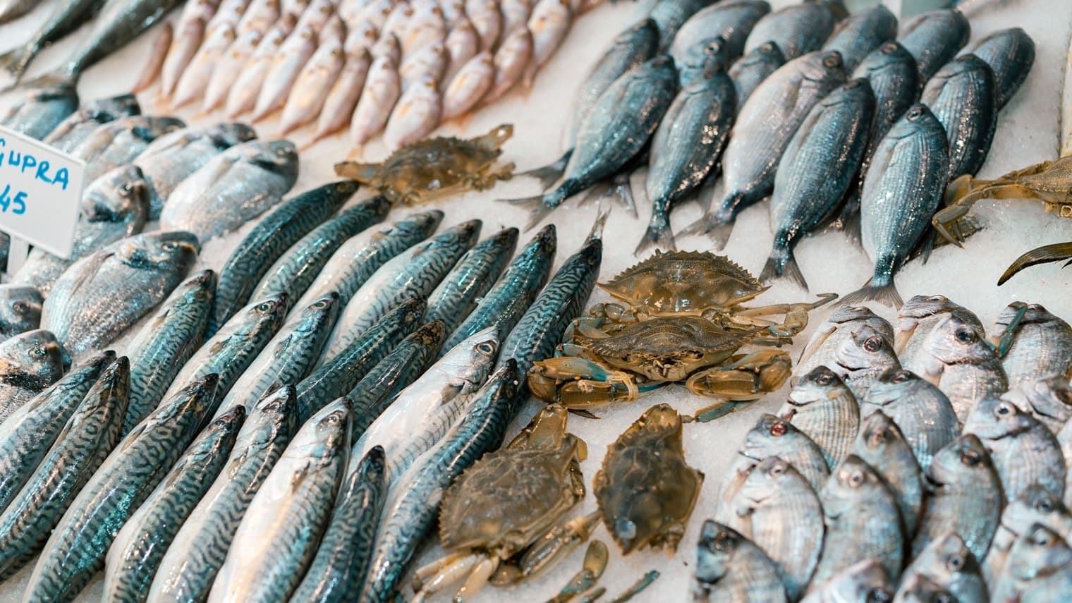 Dubai-Based Startup Seafood Souq Asks, ‘Is Your Fish a Fraud?’